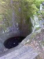 28.webp