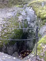 35.webp