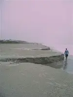 cocoa beach.webp