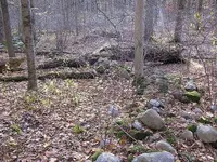 3rdhunt1stsite110287V 012.webp