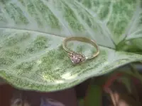 ring.webp