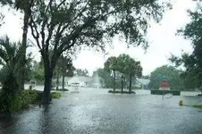 floods2.webp
