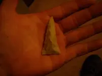 DSCN0136.webp