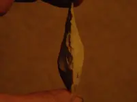 DSCN0133.webp