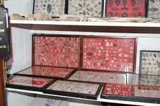 Pictures008.webp