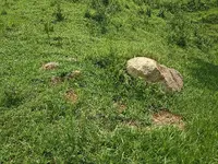 IMG_20250813_130039.webp