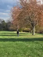20251101_152948.webp