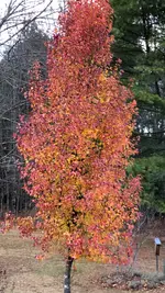 IMG_8053.webp
