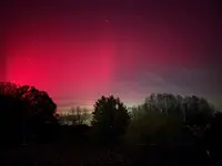 IMG_4398.webp