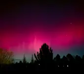 20251111_193624.webp