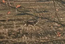 20251113_161049.webp