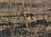 20251113_161010.webp