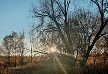 20251113_161208.webp