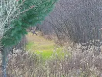 20251115_162154.webp