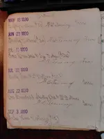 11.webp