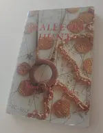 book galleon hunt.webp