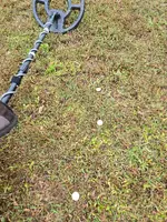Hunt_11-17-25_4.webp