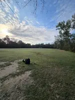 Nov_18_25_4.webp