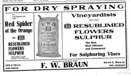 fwbraun.webp