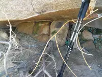 C2_Wall.webp