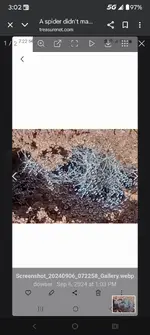 Screenshot_20251207-030212_Google.webp