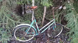 Bike Kõrvesillast..dets 25.webp
