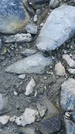 20251010_124256.webp