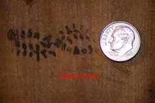 makers-mark-dime.webp