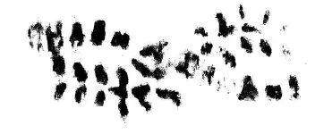 makersmarkbw.webp