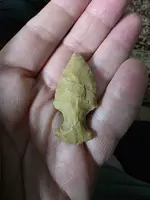 20251217_060843.webp