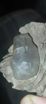 20251218_102222.webp