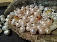 IMG_20251224_214711588.webp