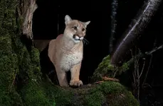 BYML12-24DZJPG.webp