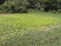 20250908_130535.webp