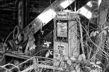 BWJPG.webp