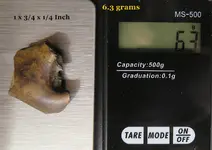 What 6.3 Grams.webp