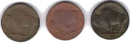 Buffalo Nickles 9-28-08 Back.webp