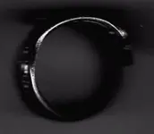 ring2.webp