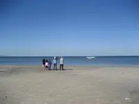 color & plane 028.webp