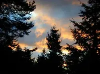 sungoes1.webp