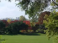 FALL OCT 12 2008.webp