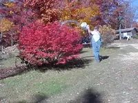 burnbush1nov08.webp