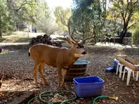 mr big 5 11-20-2008 2-05-16 PM.webp