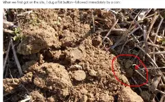 coin maybe.webp