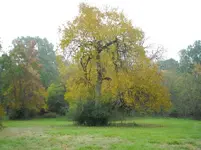 DSCN0156.webp