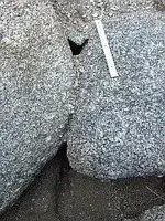 IMG_0798-1.webp