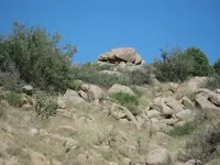 IMG_0679-1.webp