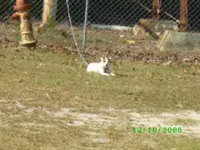 SANY0763.webp