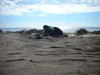 ssi.webp
