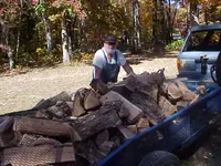 woodburst1nov08.webp